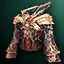 Appearance: Immortal Tunic